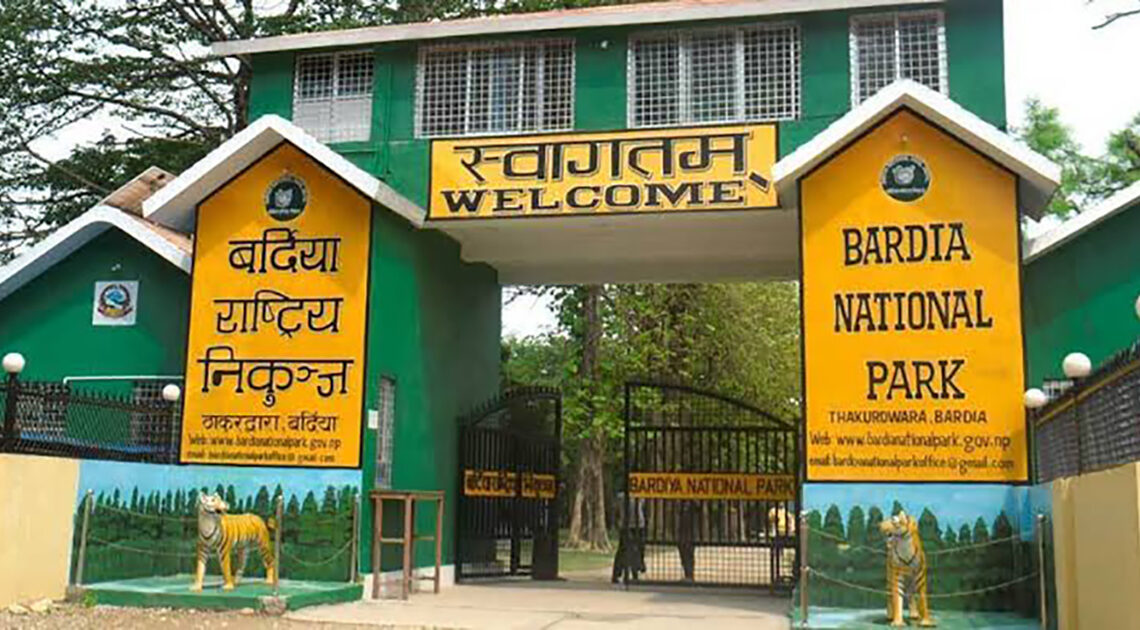 स्थानीय तह निर्वाचनः कमरुद्दिन राइले भने-‘मेयर राणाले विभेदपूर्ण विकास गरे, अव मेयरमा म लडछु’