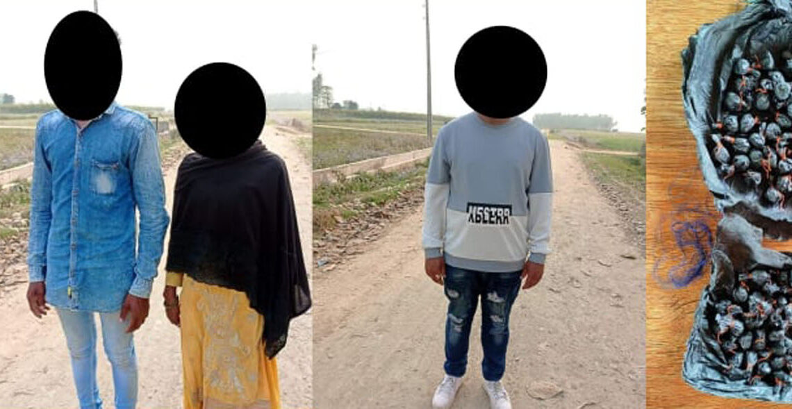 प्रतिबन्धित ब्राउनसुगरसहित तीन जना बर्दियाको प्रहरीको फन्दामा