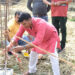 माबी लग्दहवाको व्यावसायिक भवनको शिलान्यास