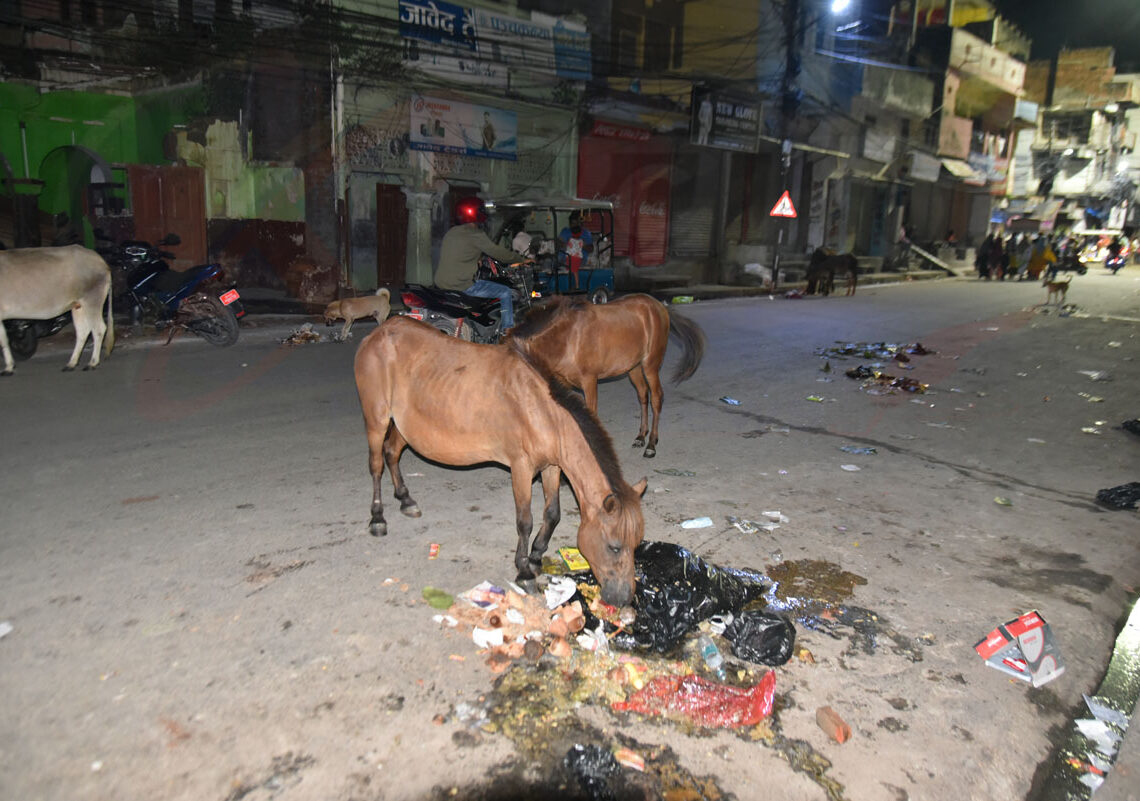 मेयरका उम्मेदवार मिश्रको चटकारेले त्रिभुवन चोकमा फोहोर असरल्ल