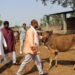 मेयर बिष्ट र उपमेयर राई कान्जिहाउसमा