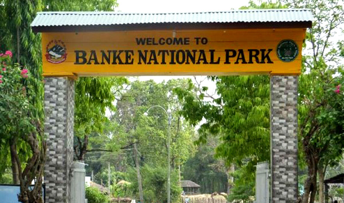 बाँके निकुञ्जमा सैनिक पोशाकमै शिकारी पक्राउ