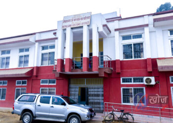 चितवनमा एक वर्षमा जङ्गली जनावरको आक्रमणमा २२ जनाको मृत्यु