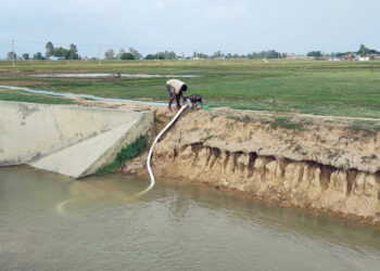 सिक्टा सिँचाइको पानी खेतमा पुगेपछि कृषक हर्षित