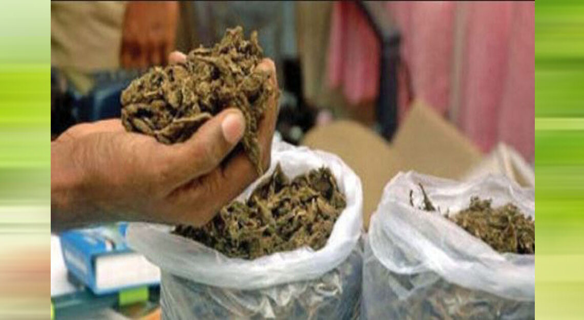 साउनदेखि जडीबुटी बीमा लागू हुने