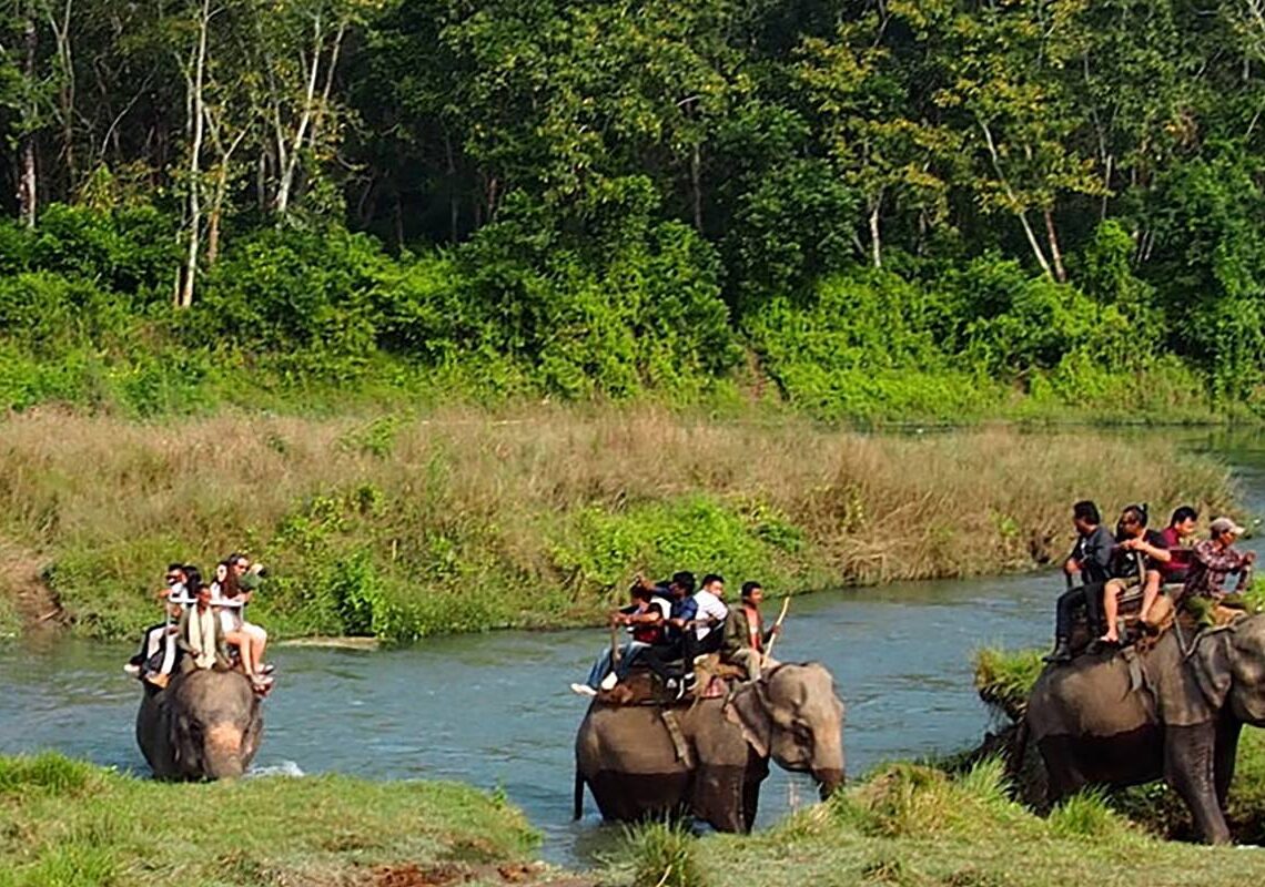 बर्दिया राष्ट्रिय निकुञ्जमा जंगल सफारी खुल्यो