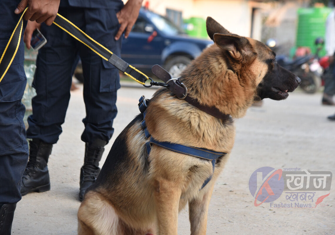 सीमा क्षेत्रमा सुरक्षा व्यवस्था कडाइ