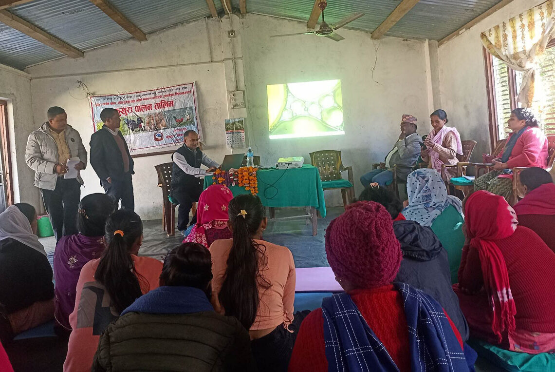 जिविको पार्जन सुधारको लागि बिपन्न बर्गका महिलाहरुलाई कुखुरापालन तालिम