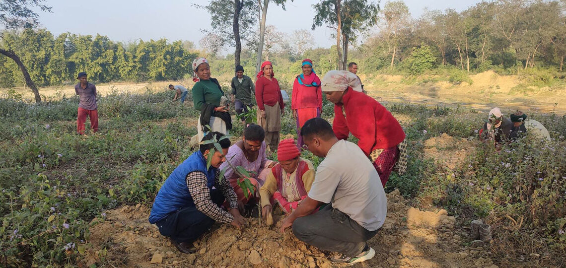 बृक्षारोपणसँगै तालतलैया संरक्षण गरेर ज्योतिसामुदायिक वनलाई पर्यटकिय क्षेत्र बनाइँदै