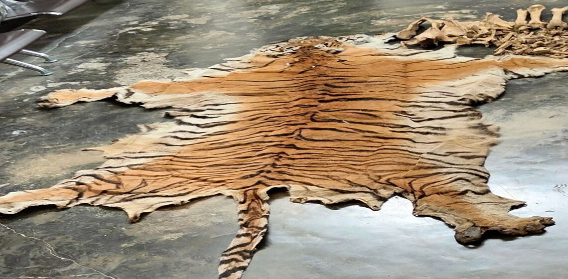 पाटेबाघको छाला र हड्डीसहित चारजना पक्राउ