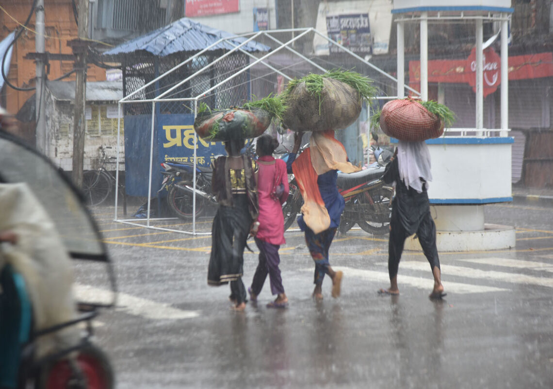 नेपालगन्ज सहरः टाँगा चल्न छाड्यो, घाँस पनि बिक्री हुन छाड्यो