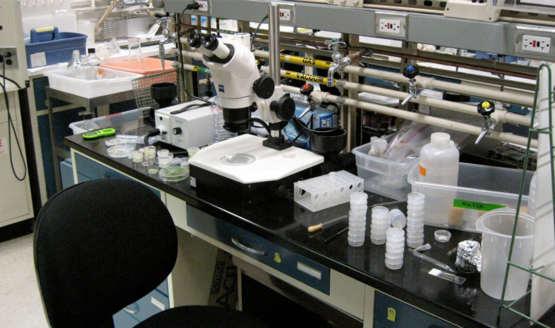 मापदण्डविपरीत प्रयोगशाला सञ्चालन