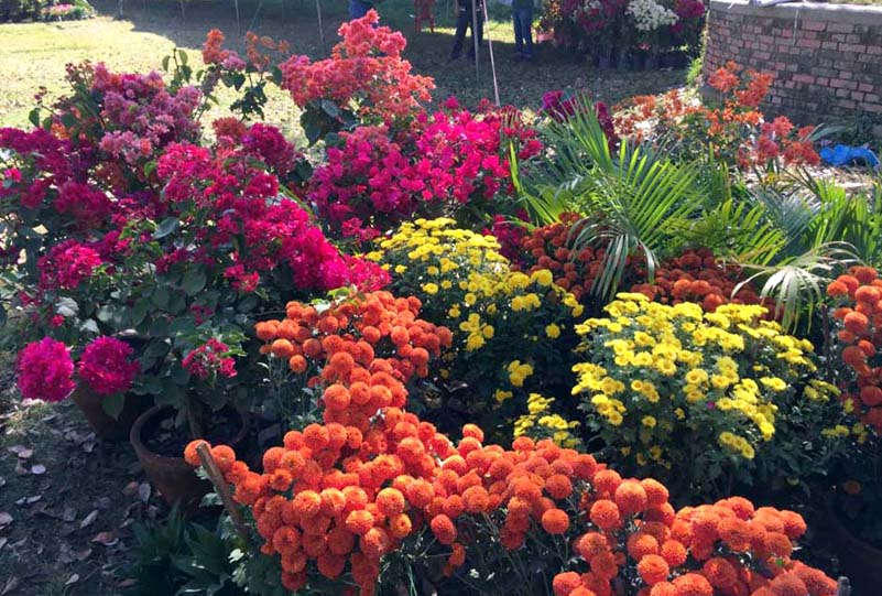 फूलको कारोबार बढ्यो