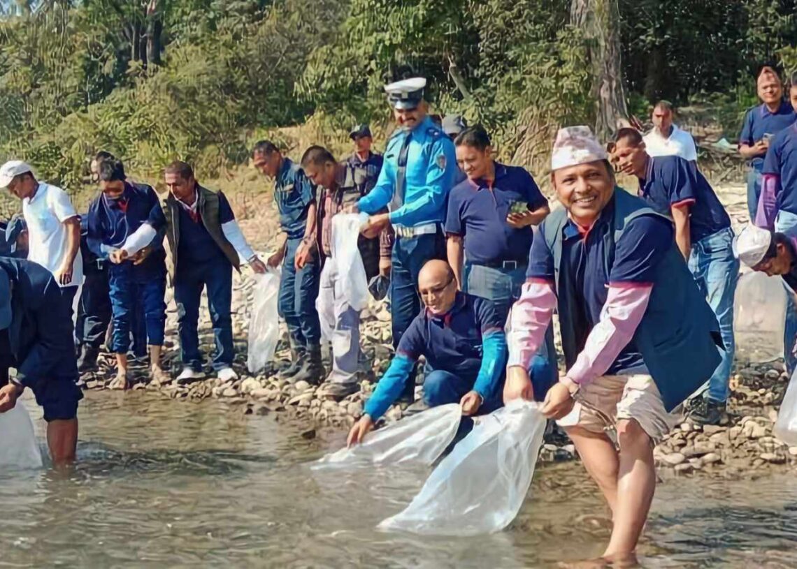 राप्ती नदीमा बिस हजार माछाका भुरा छोडियो