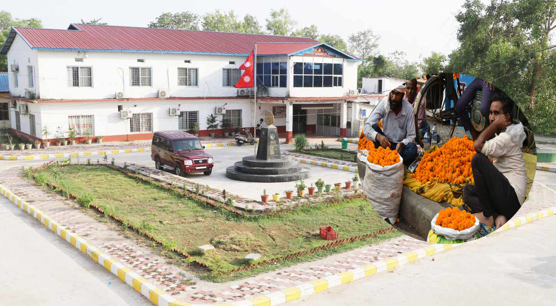 कोहलपुर नगरपालिकाले तोक्यो २ स्थानमा स्वदेशी सयपत्री माला किनबेच स्थल