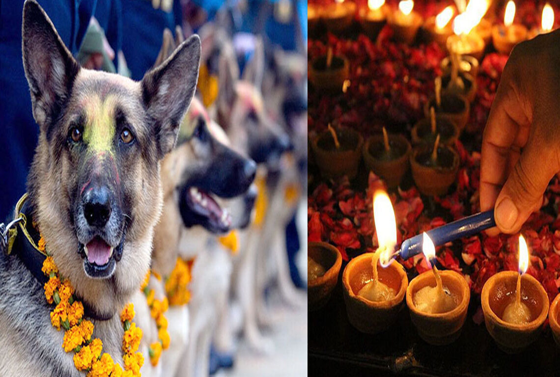तिहारको दोस्रो दिनः आज कुकुर र लक्ष्मीपूजा गरिँदै