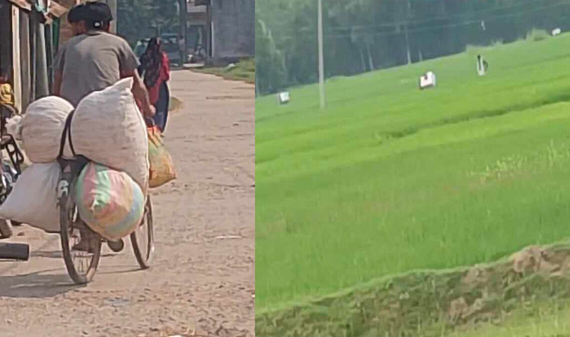 नाकामा मौलाउँदै तस्करी, रक्षक नै भक्षक बन्यो सशस्त्र, असुली धन्दामा सक्रिय असई शर्मालाई एसपीको साथ