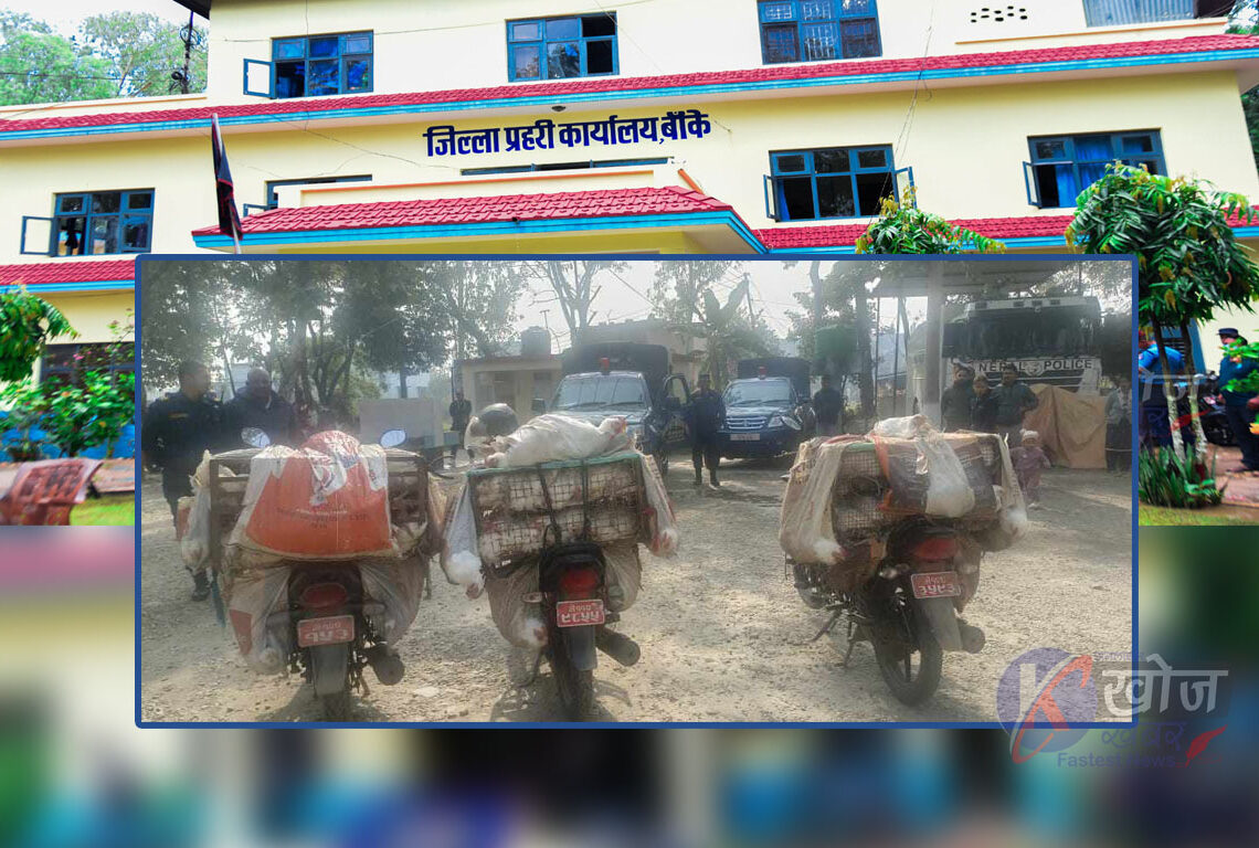 अवैध रूपमा भित्र्याइएको तीन क्विन्टल कुखुरासहित मोटरसाइकल बरामद