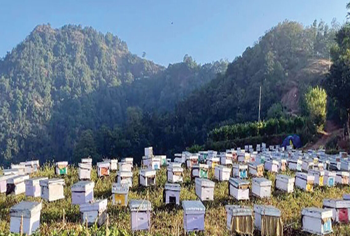 मौरी स्रोत केन्द्रको निर्णय चार वर्षदेखि अलपत्र