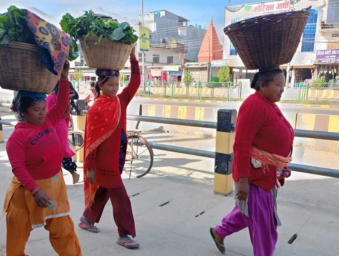 तरकारी खेतीबाट आत्मनिर्भर बाँके बर्दियाका महिला