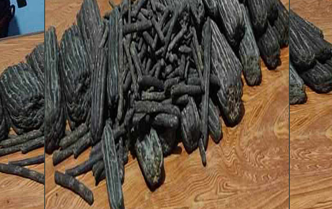 ४५ किलो चरेससहित तीनजना पक्राउ