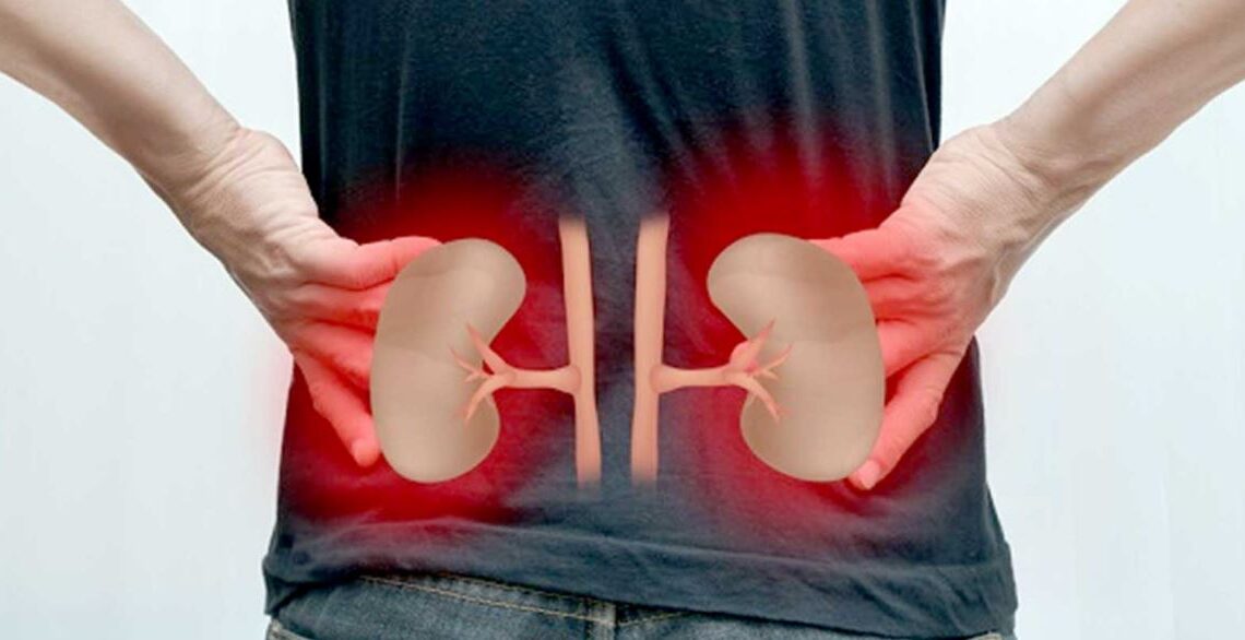 मधुमेहका रोगीमा किन देखिन्छ मिर्गौलाको समस्या ? कसरी बच्ने ?