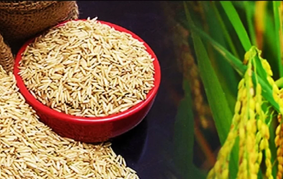 राप्ती सोनारीका किसानलाई अनुदानमा धानको वीउ वितरण गरिने