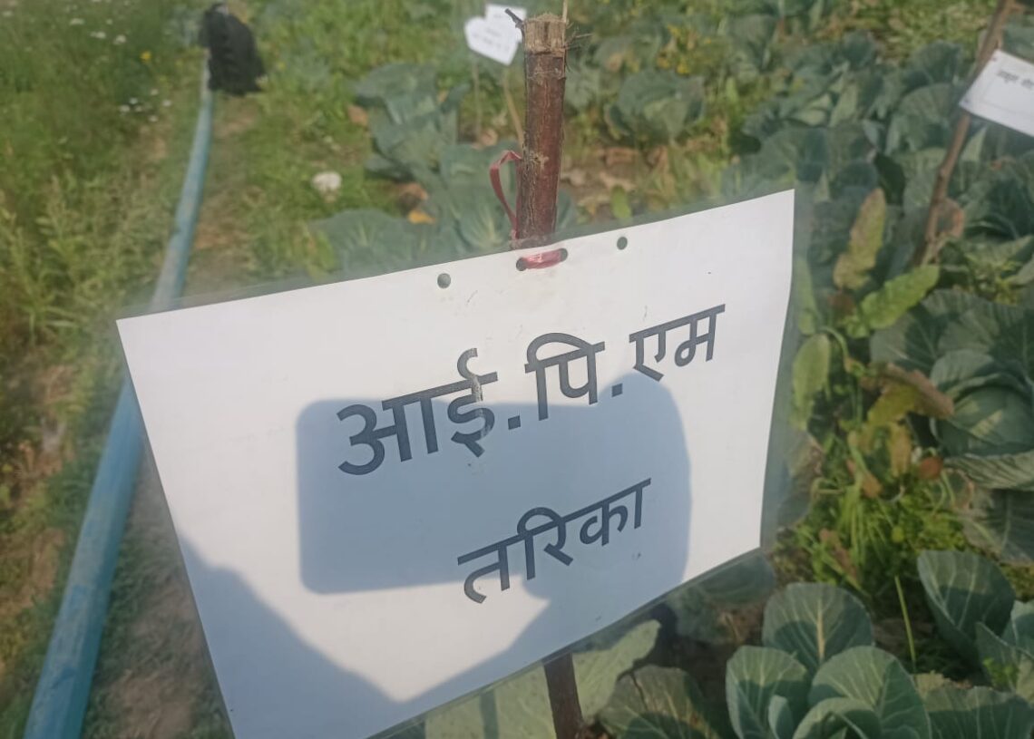 किसानसँग जोडिँदै नेपालगन्ज उपमहानगर