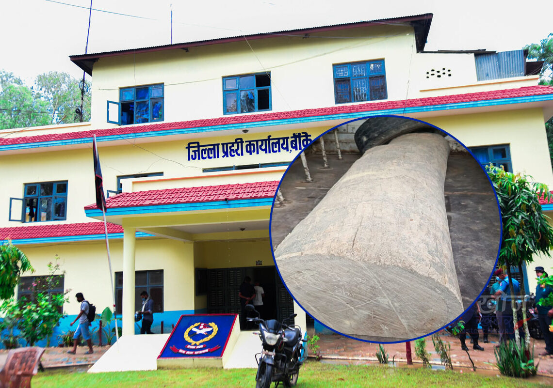 अबैध सालको काठ प्रहरीद्वारा बरामद