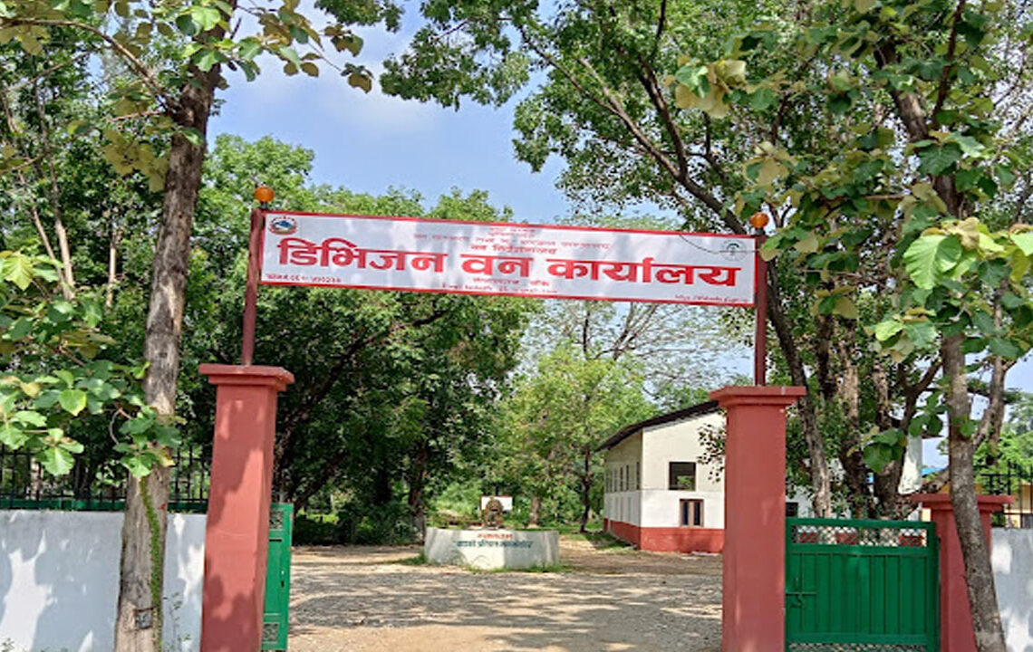 ठुलो परिमाणमा बिरुवा उत्पादन गर्दै डिभिजन वन कार्यालय