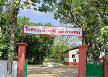 ठुलो परिमाणमा बिरुवा उत्पादन गर्दै डिभिजन वन कार्यालय