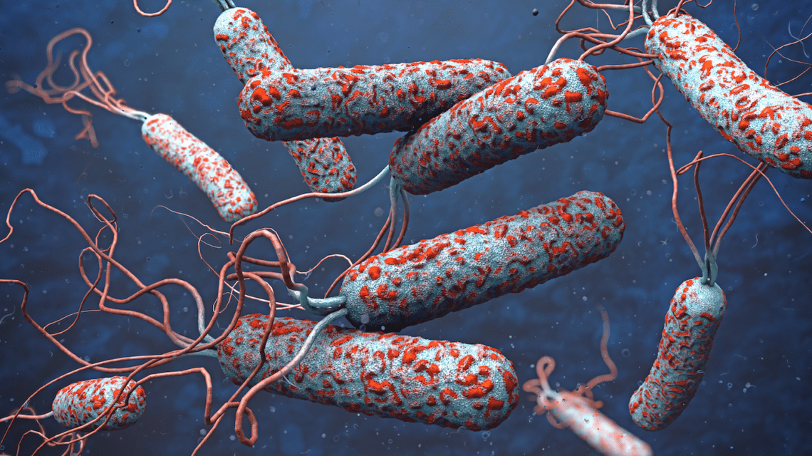 प्युठानमा तीन जनामा हैजा सङ्क्रमण