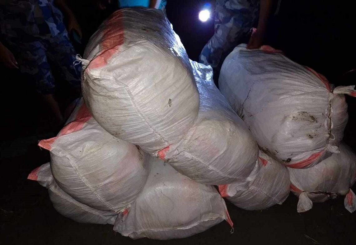 सुनसरीबाट २४५ किलो गाँजा बरामद