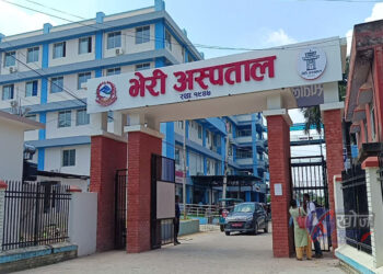 बाँकेमा स्क्रब टाइफस र डेंगुको सङ्क्रमण बढ्दै