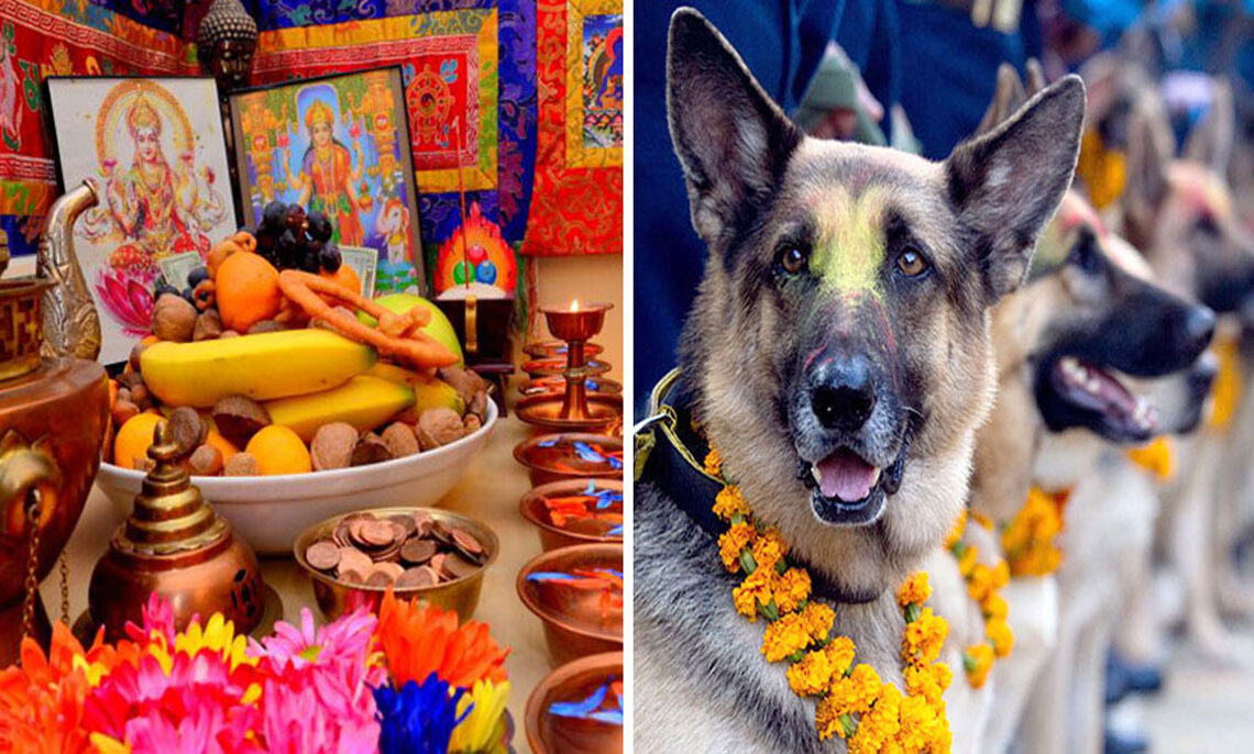 लक्ष्मीपूजा र कुकुर तिहार आज एकै दिन