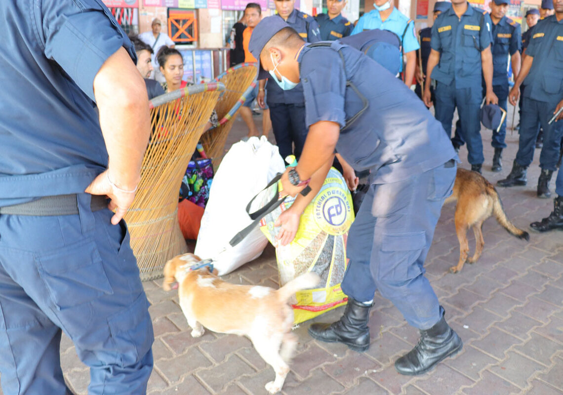 अपराधिको खोजीमा लभ र व्यूटी निस्किएपछि….