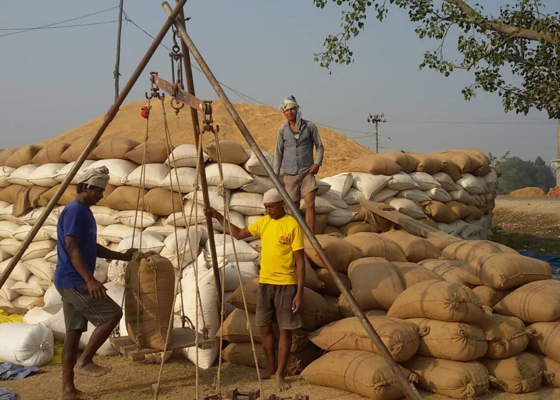 खाद्यले खरिद गर्‍यो १४ हजार क्विन्टल धान