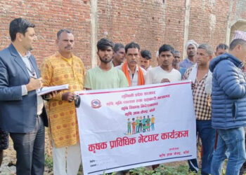 बाँकेमा किसानका समस्या बुझ्न खेतबारीमै प्राविधिक