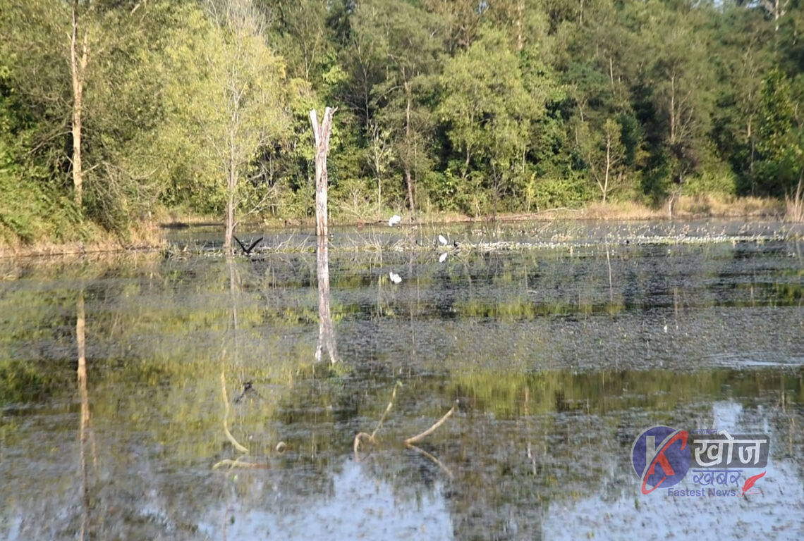 लोप हुँदै आगुन्तक पन्छीहरु
