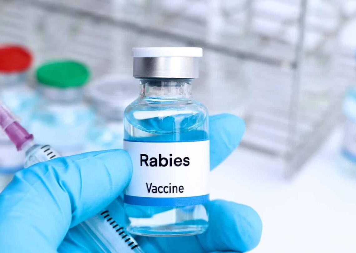 बर्दियामा रेविज भ्याक्सिन अभाव