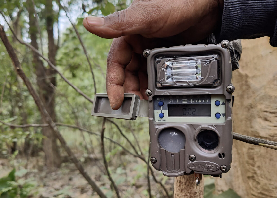 बाघले आक्रामण गरेको क्षेत्रमा क्यामेरा जडान