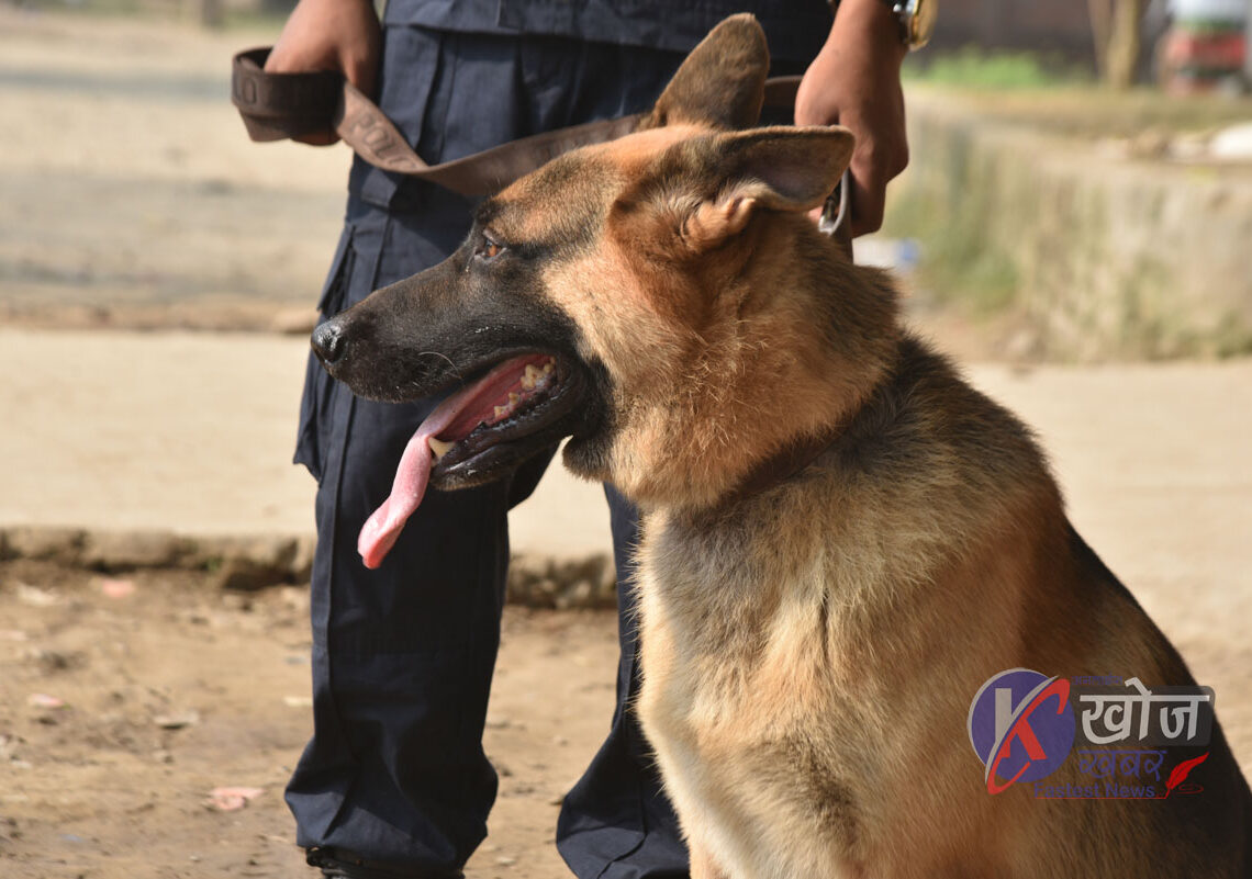 अछाममा दुई किशोरी मृत प्रकरणः कुकुरसहितको टोलीबाट अनुसन्धान सुरु