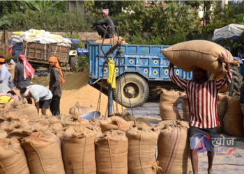 बाँकेमा खाद्य संस्थानद्धारा ३२ हजार क्विन्टल धान खरिद