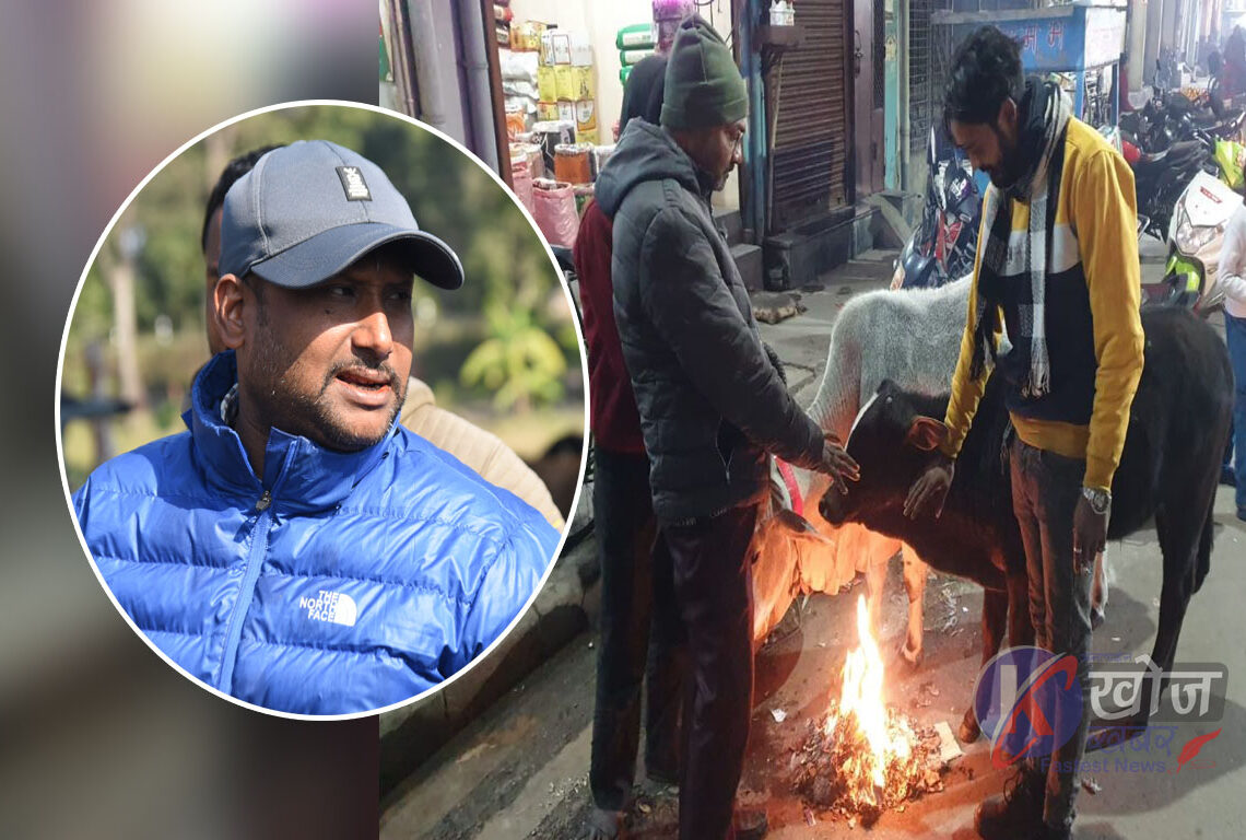 आफ्नै निर्णय लत्याउँदै मेयर बिष्ट : दाउरा नपाउँदा सर्वसाधारणलाई सास्ती