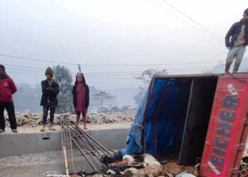 चितवनमा मिनी ट्रक पल्टिंदा १९ वटा खसिबोका मरे