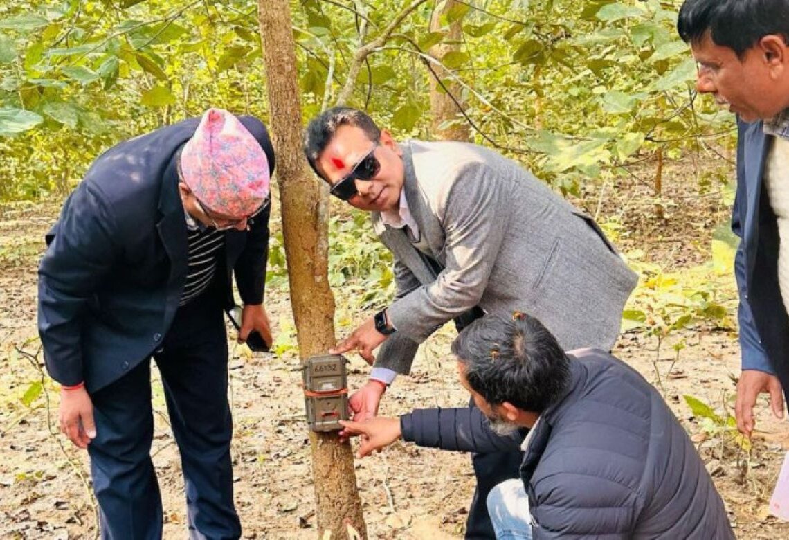 बाघ तथा आहार प्रजातिको अनुगमन सुरु
