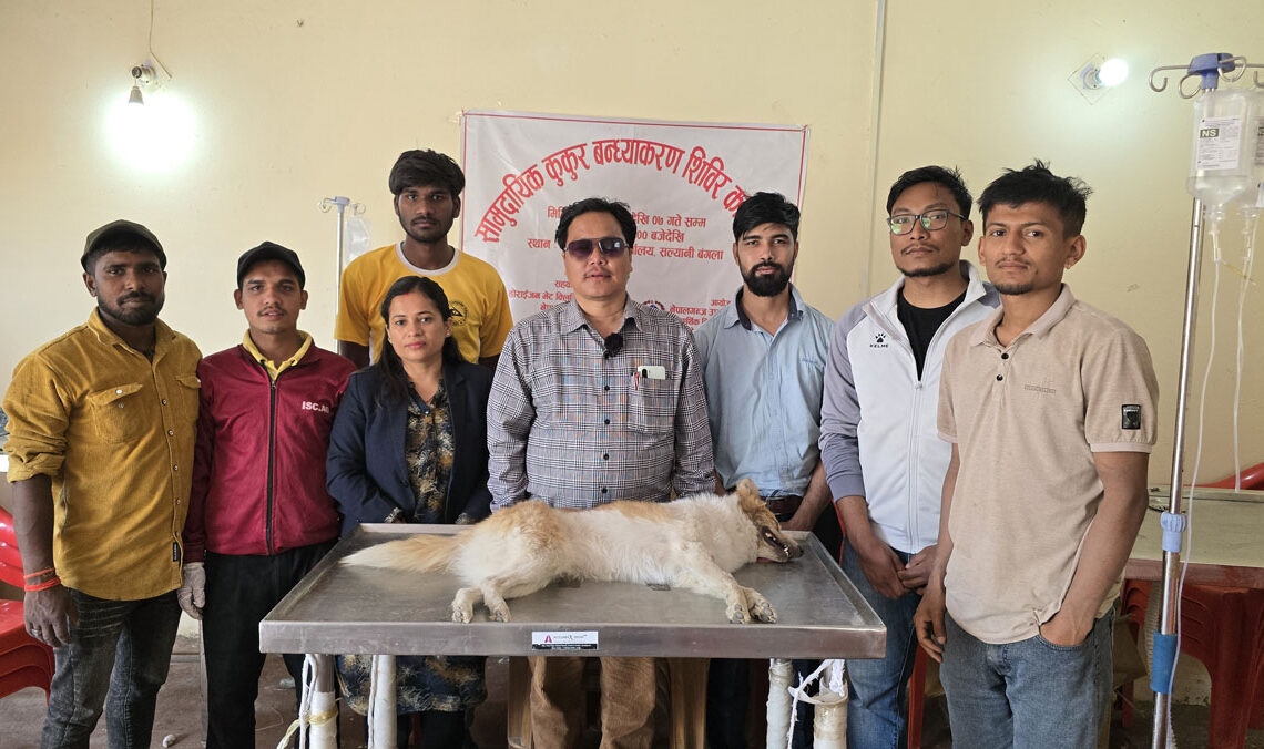 नेपालगन्जमा २८१ वटा कुकुरको बन्ध्याकरण