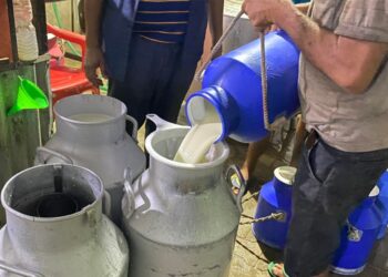 दूधको अवैध ओसारपसारले बाँकेका किसान मर्कामा