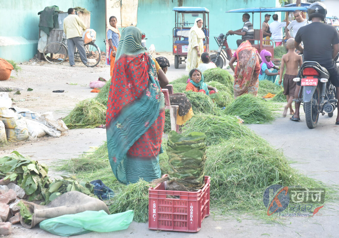 पेसाको विकल्प खोज्दै घसियारा समुदाय