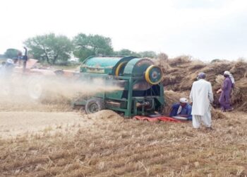 बाँकेका किसानलाई गहुँ भित्र्याउन चटारो